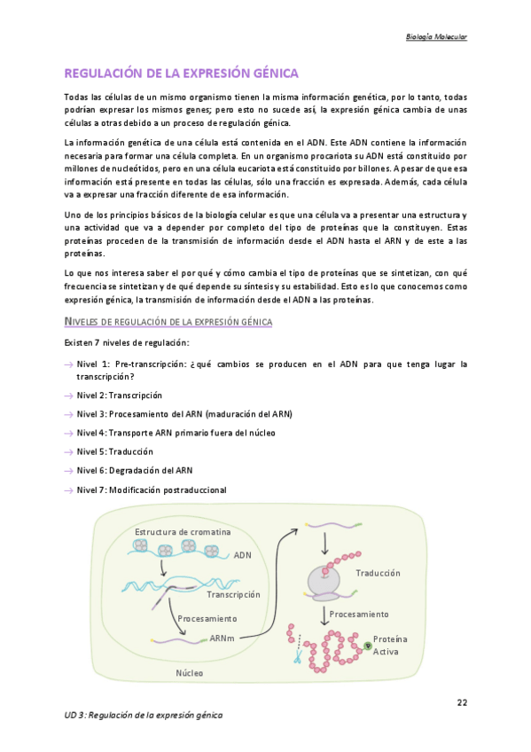 Miniatura del documento Tema-3.pdf