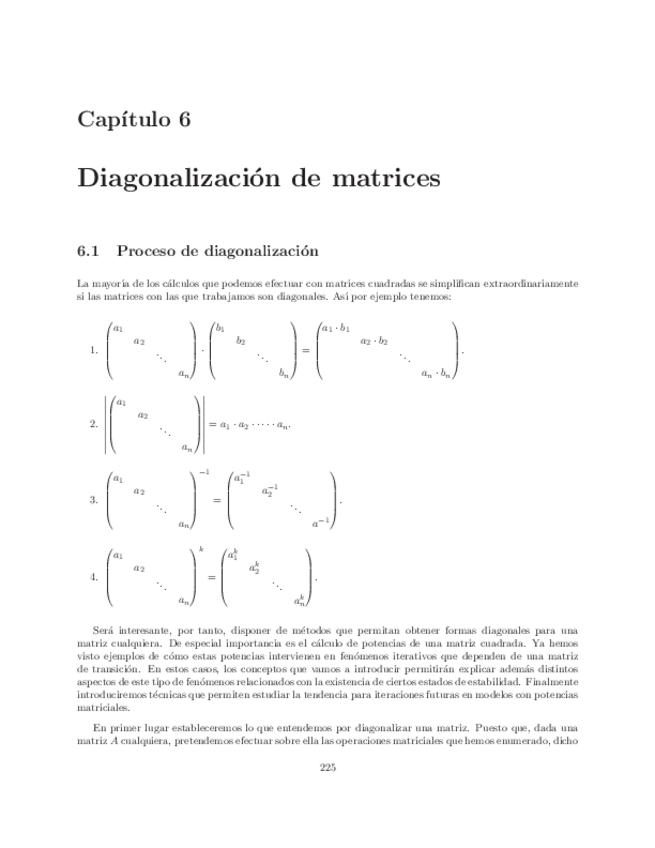 Miniatura del documento 06-Diagonalizacion.pdf