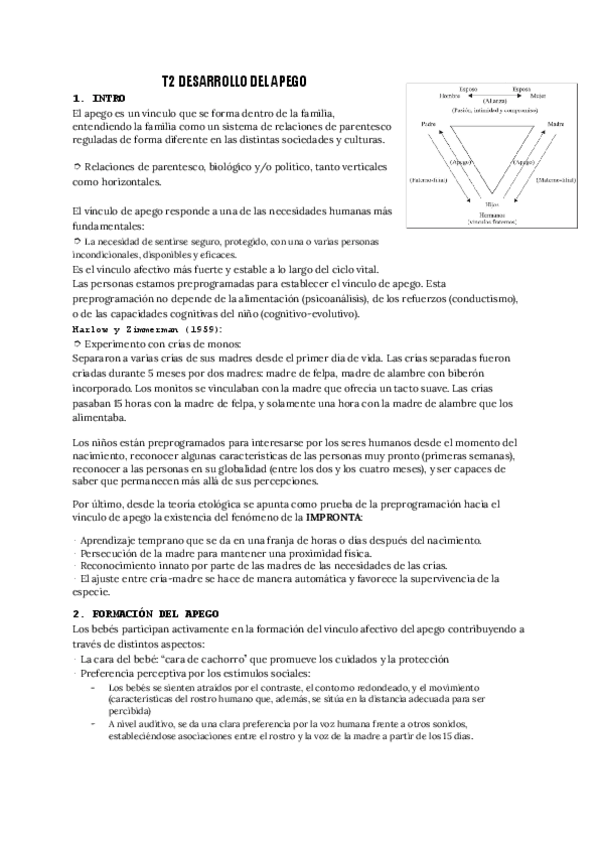 Miniatura del documento T2-DESARROLLO.pdf