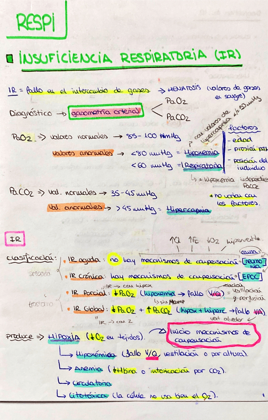 Miniatura del documento ICardiaca-AFMI.pdf