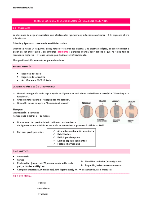 Miniatura del documento Tema-1-Lesiones-Musculoesqueleticas.pdf