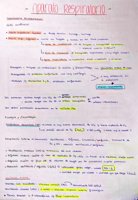 Miniatura del documento Temas-introductorios-respi.pdf