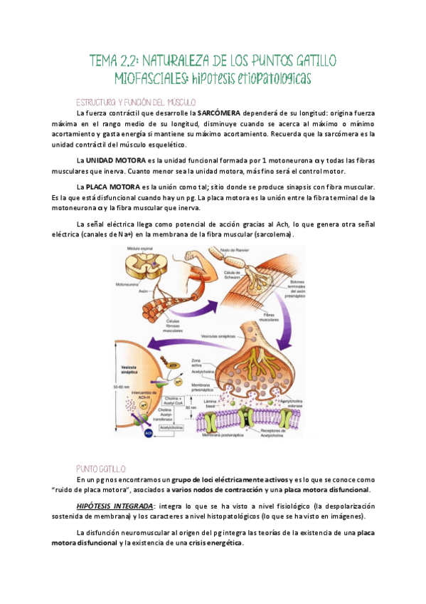 Miniatura del documento Tema-2-U2-Masot.pdf