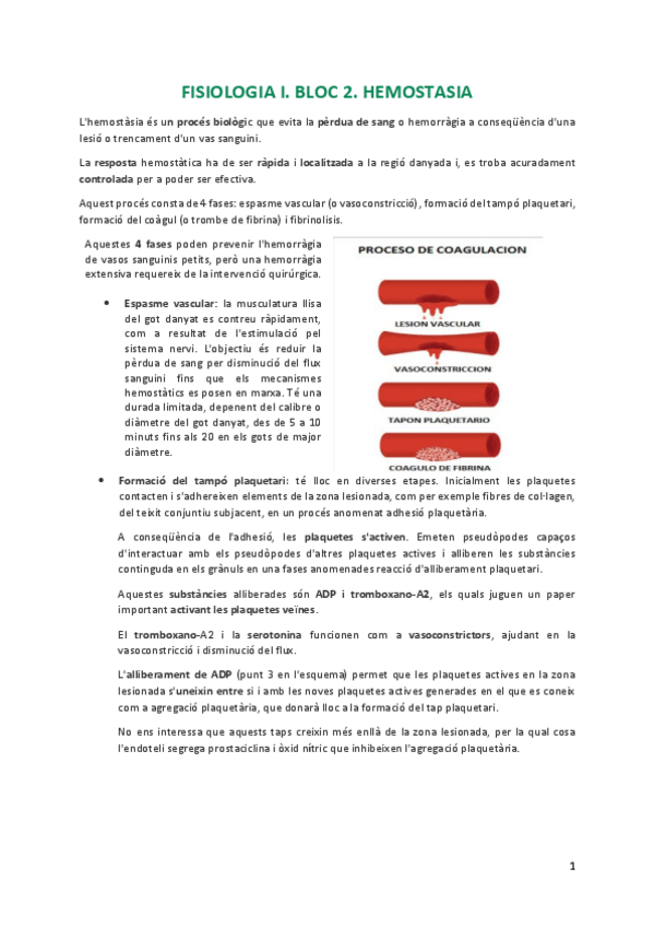 Miniatura del documento Homeostasia.pdf