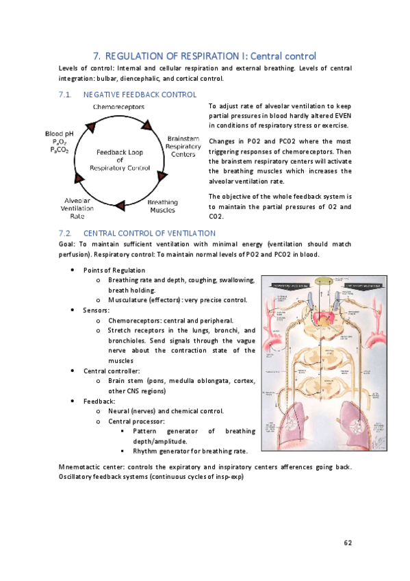 Miniatura del documento TEMA7.pdf