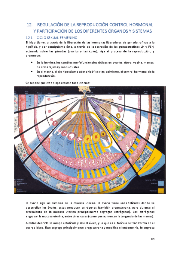 Miniatura del documento TEMA12.pdf