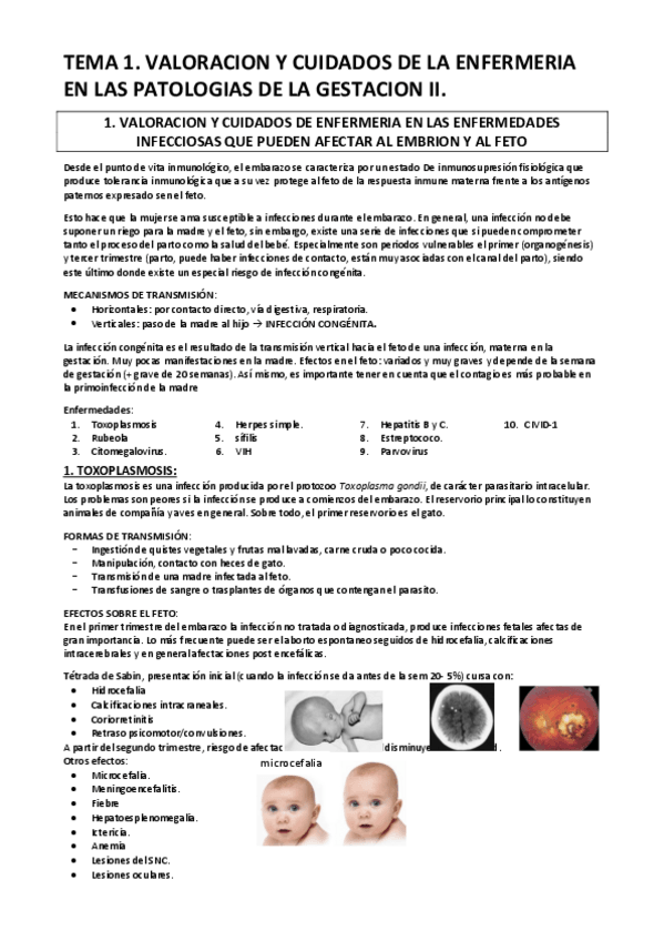 Miniatura del documento TEMA-1.pdf
