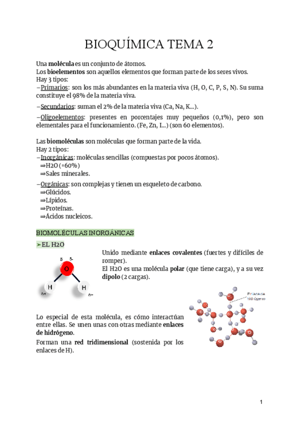Miniatura del documento BIOLOGIA-TEMA-2-1.pdf
