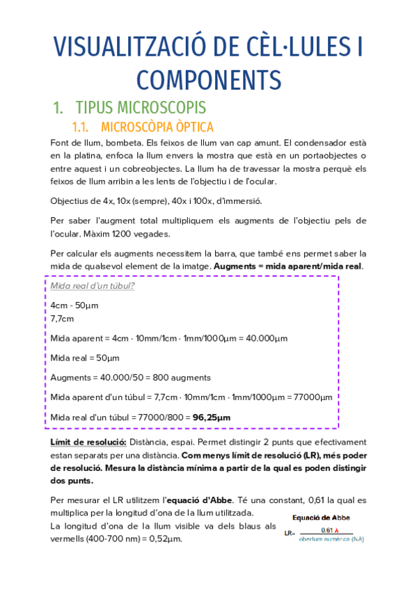 Miniatura del documento VISUALITZACIO-DE-CELLULES-I-COMPONENTS.pdf