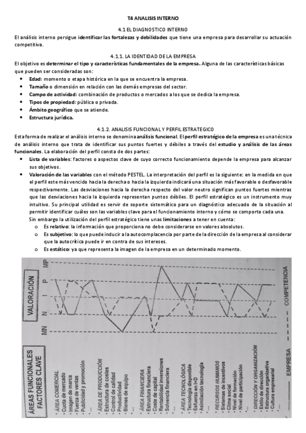 Miniatura del documento T4 ANALISIS INTERNO (direccion).pdf