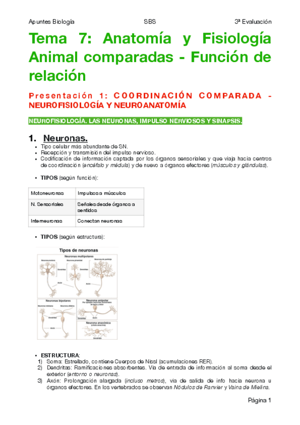 Miniatura del documento BIOLOGÍA NS T7-Anatomía y Fisiología Animal comparadas.pdf