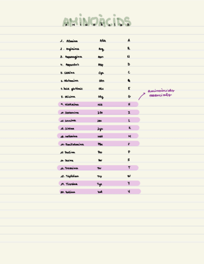 Miniatura del documento Aminoacids.pdf