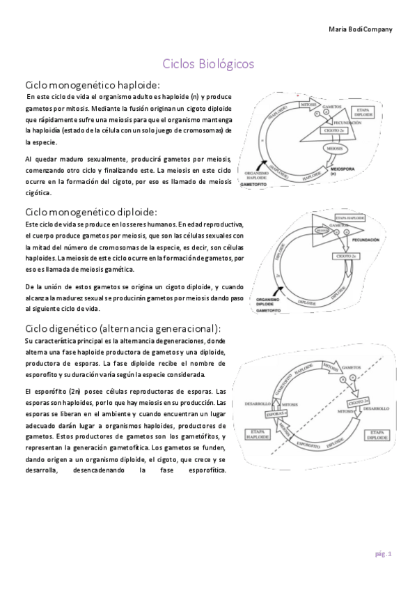 Miniatura del documento Examen-botanica.pdf