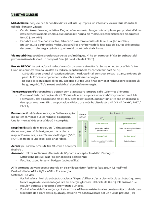 Miniatura del documento Metabolisme-U2-3.pdf