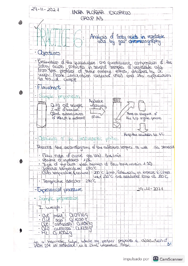 Miniatura del documento Practica-6.pdf