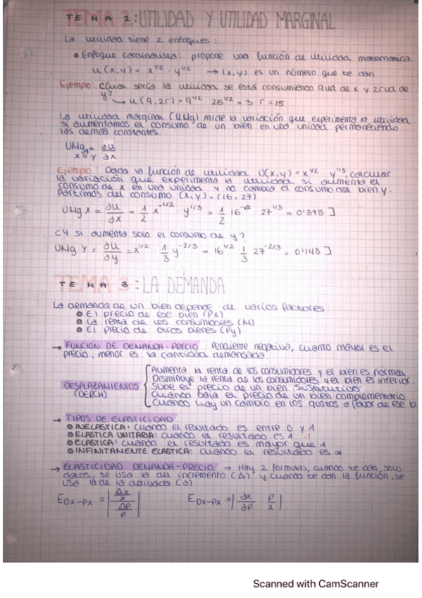 Miniatura del documento MICRO.pdf