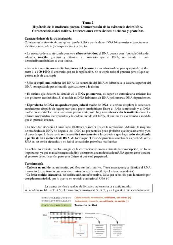 Miniatura del documento TEMA-2.pdf