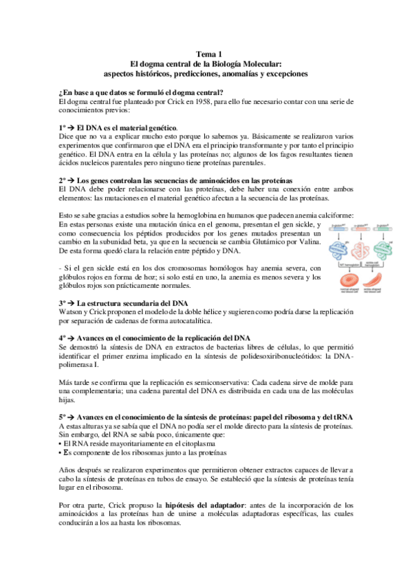 Miniatura del documento TEMA-1.pdf