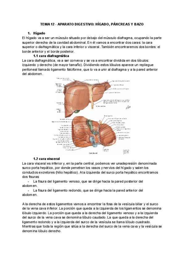 Miniatura del documento tema-12.pdf