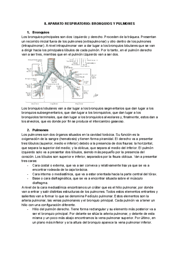 Miniatura del documento tema-8-1.pdf