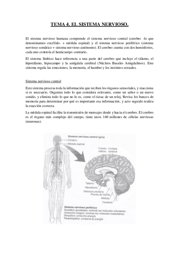 Miniatura del documento TEMA-4. PPT-LECTURAS-APUNTES CLASE..pdf