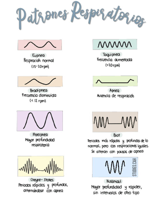 Miniatura del documento Patrones-respiratorios-.pdf