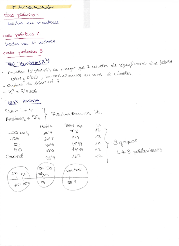 Miniatura del documento 4aautoevaluacion-.pdf
