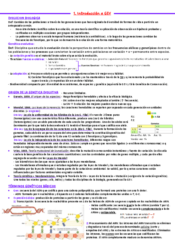 Miniatura del documento GEV-TEMA-1.pdf