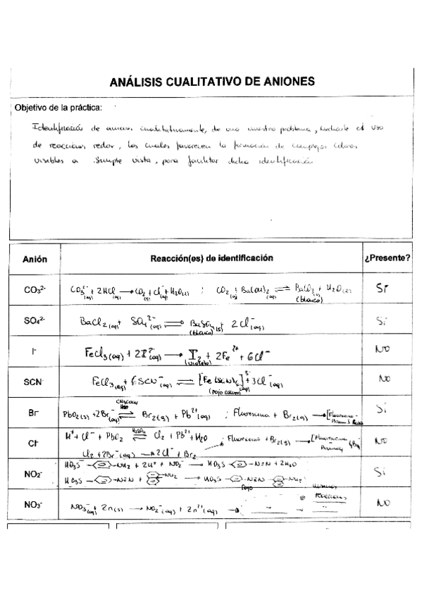 Miniatura del documento Reacciones-Practicas.pdf