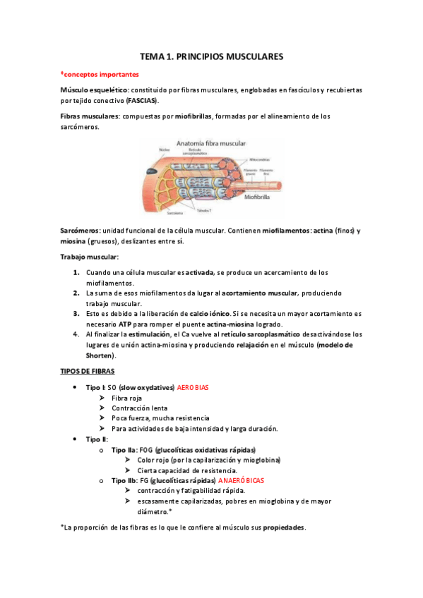 Miniatura del documento TEMA-1.pdf
