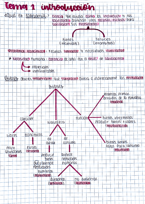 Miniatura del documento Tema-1-Introduccioon-a-la-economia.pdf