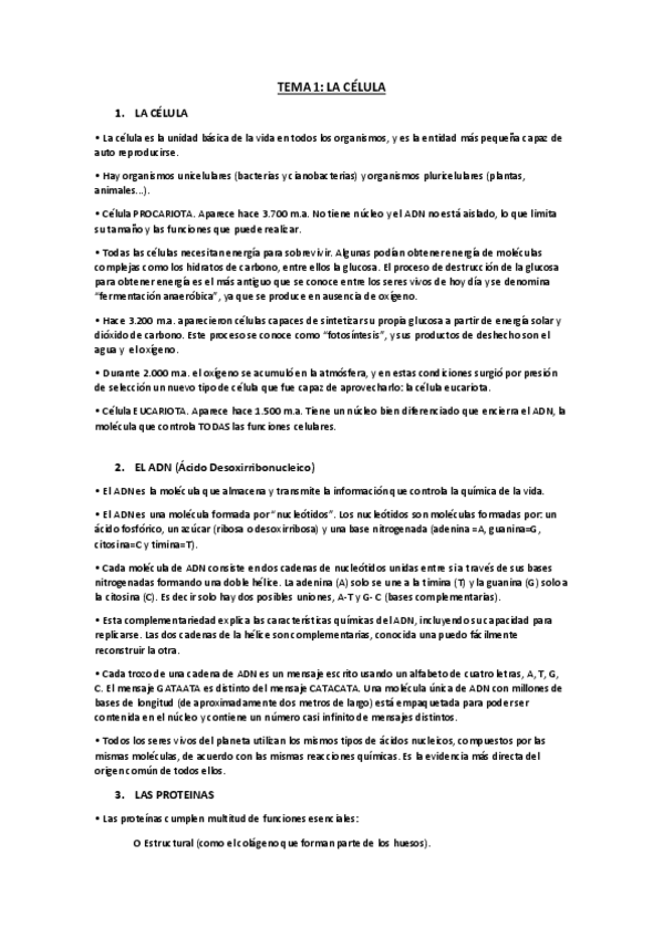 Miniatura del documento Apuntes-antropologia.pdf