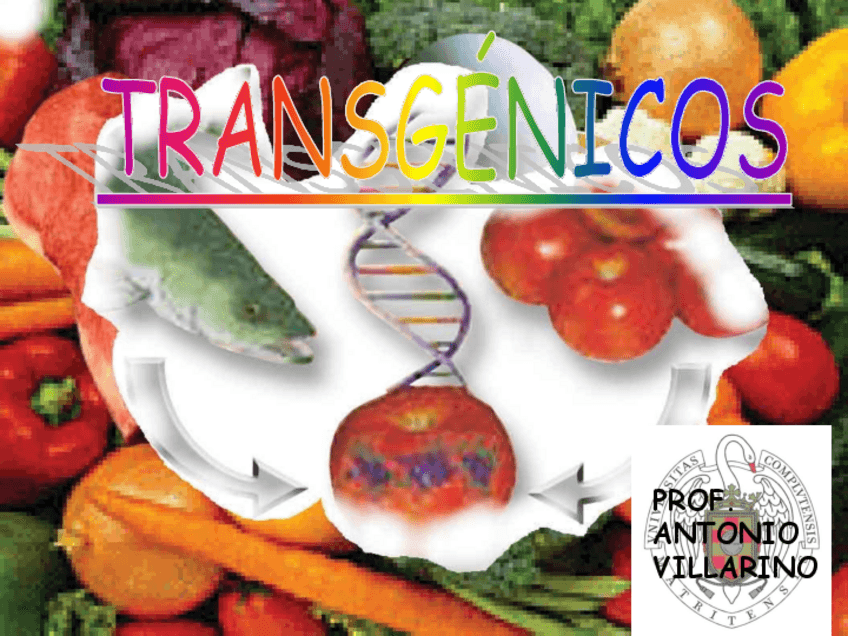 Miniatura del documento Transgenicos-antonio.pdf