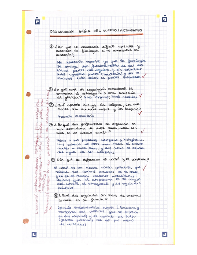 Miniatura del documento Anatomia-actividades-de-la-organizacion-basica-del-ser-humano.pdf