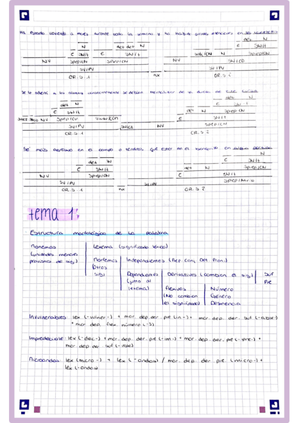 Miniatura del documento Estructuramorfologicadelapalabra.pdf