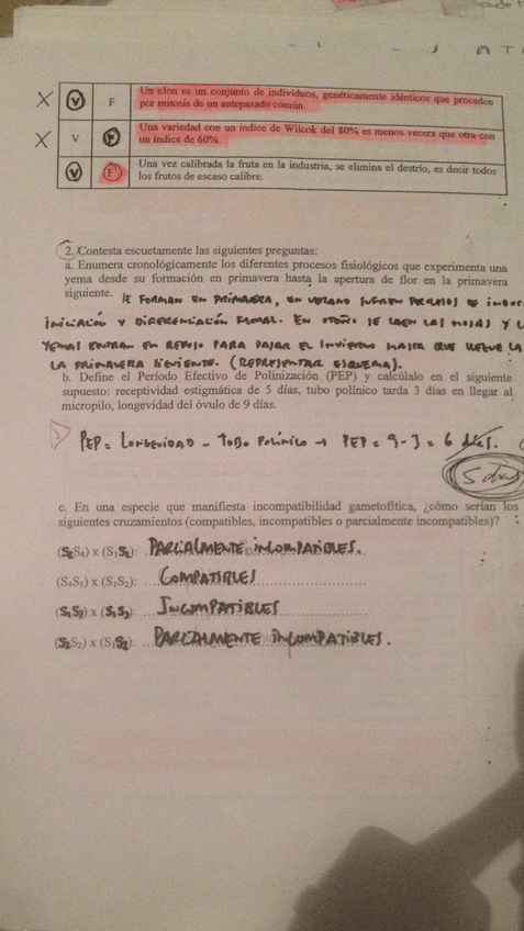 Miniatura del documento Exámen 1.jpg