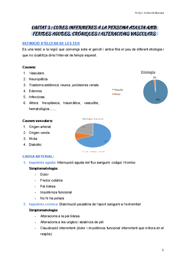 Miniatura del documento Unitat-3Cures-infermeres-a-la-persona-adulta-amb-ferides-agudes-croniques-i-alteracions-vasculars.pdf
