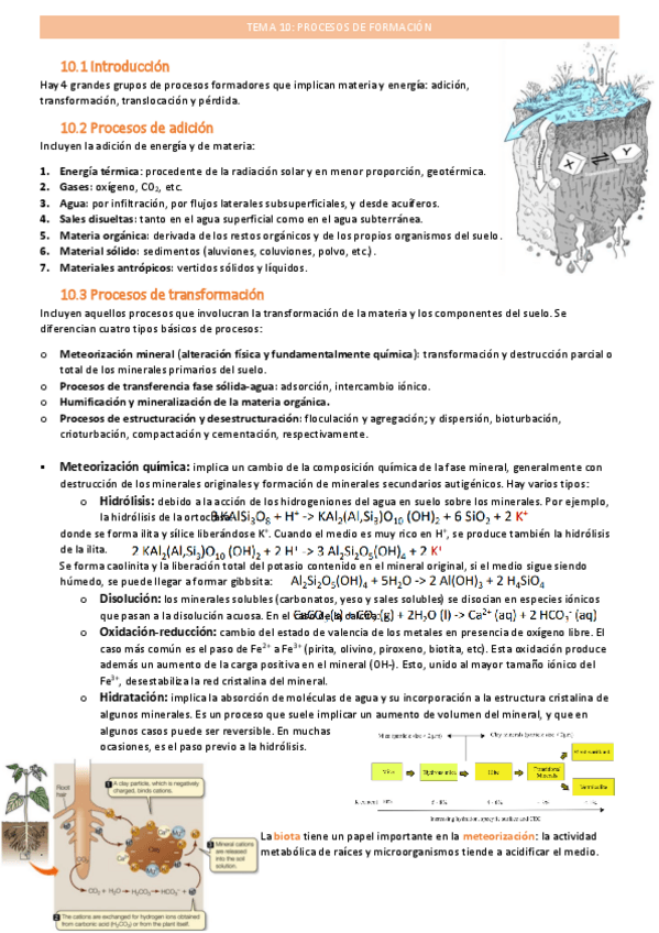 Miniatura del documento procesos-de-formaciontema-10.pdf