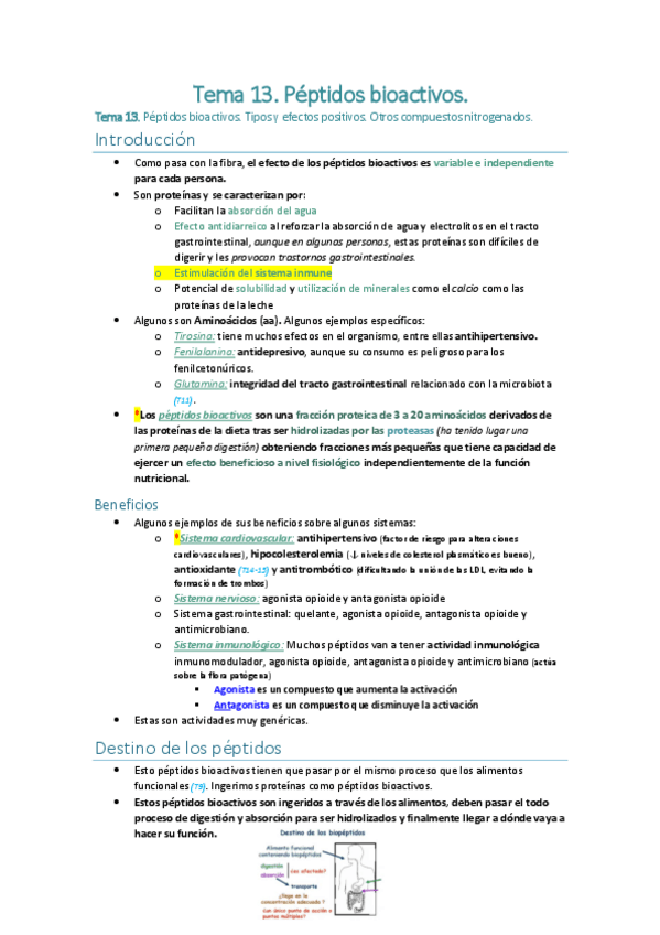 Miniatura del documento Tema-13.Péptidos bioactivos.pdf