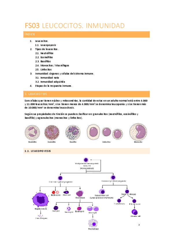 Miniatura del documento FISIOLOGIA-FS03.pdf