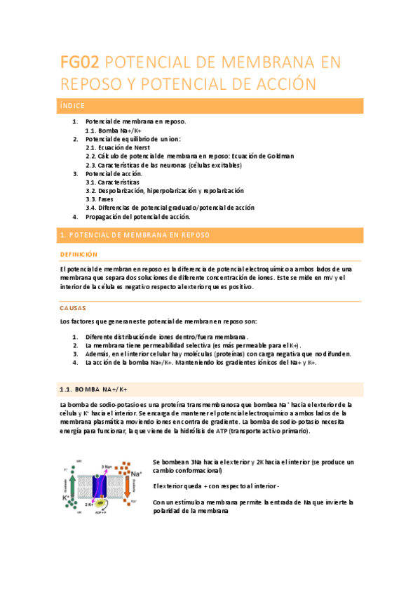 Miniatura del documento FISIOLOGIA-FG02.pdf