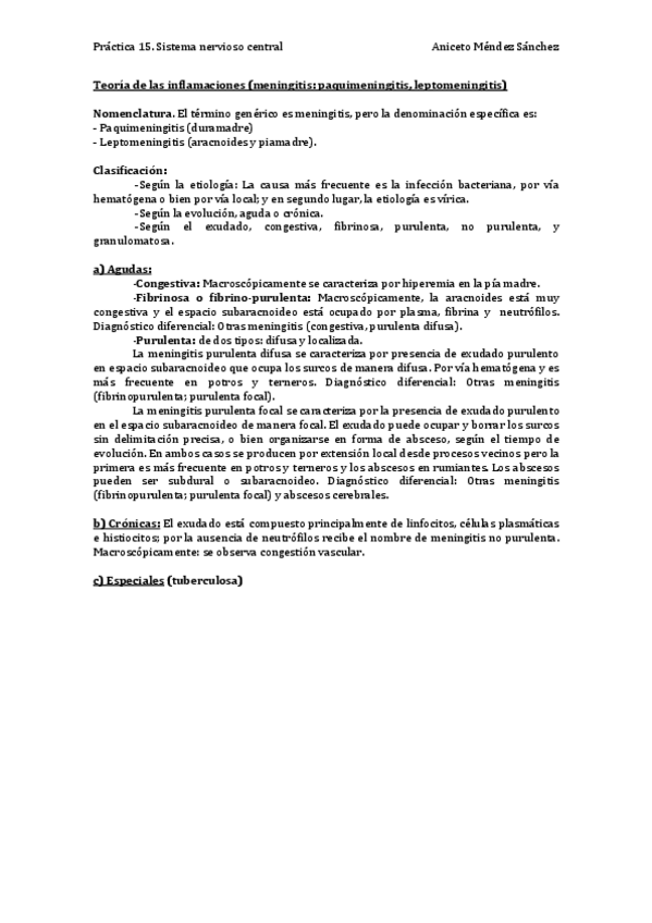 Miniatura del documento Práctica 15. Sistema nervioso central (Descripción y foto 1- 3, 8-16, 19 y 21).pdf