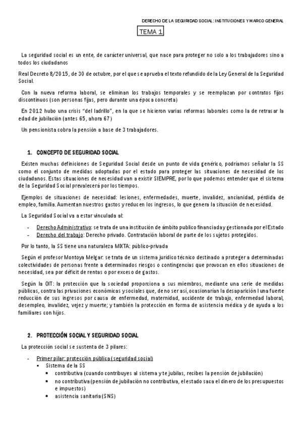 Miniatura del documento TEMA-1-DCHO-SS.pdf
