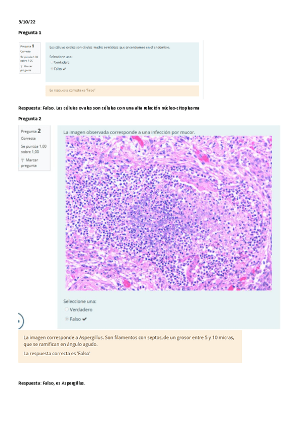 Miniatura del documento Test-T.pdf