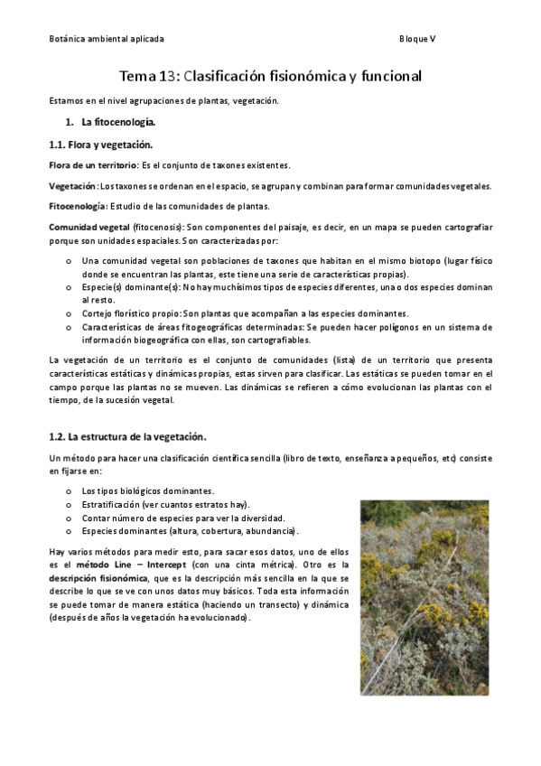 Miniatura del documento Tema-13.pdf