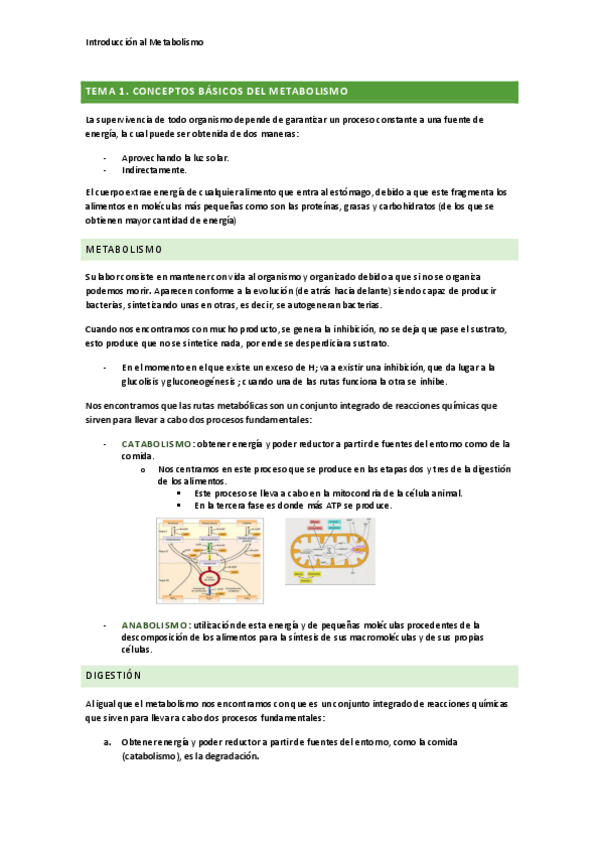 Miniatura del documento Tema-1.pdf