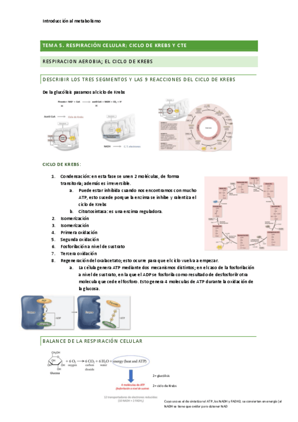 Miniatura del documento Tema-5.pdf