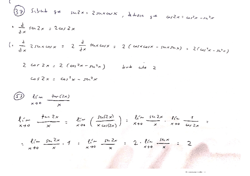 Miniatura del documento img-11.pdf