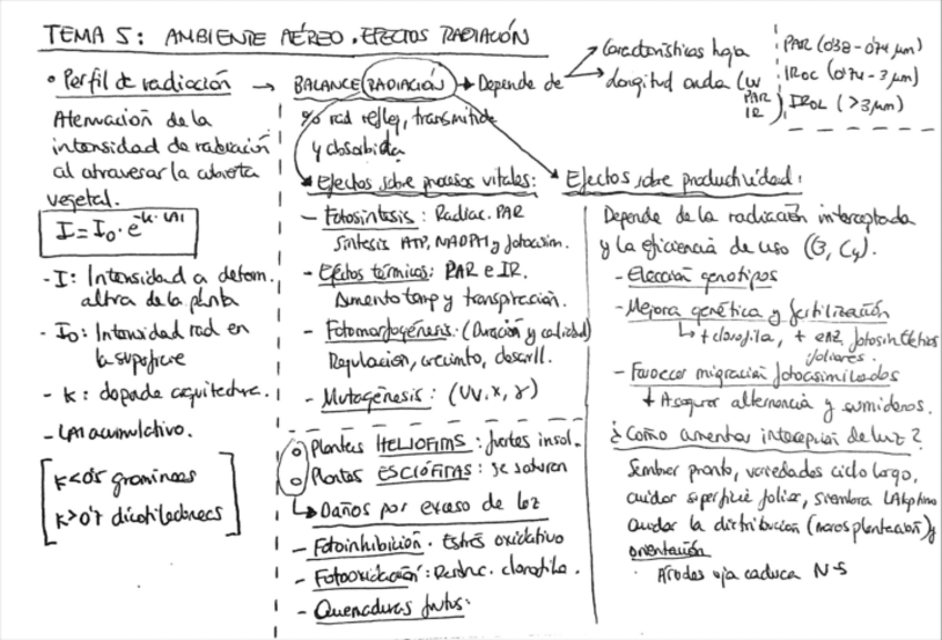 Miniatura del documento Esquemas-PPV-5.pdf