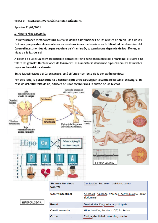 Miniatura del documento TEMA-2.pdf